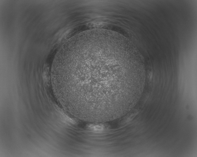 X0000077970181200611031343