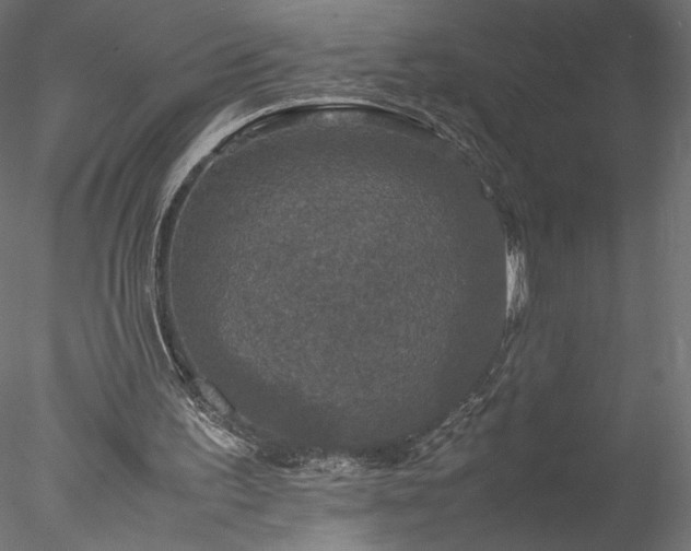 X0000077970195200611031342