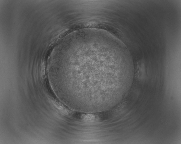 X0000077970230200611031342