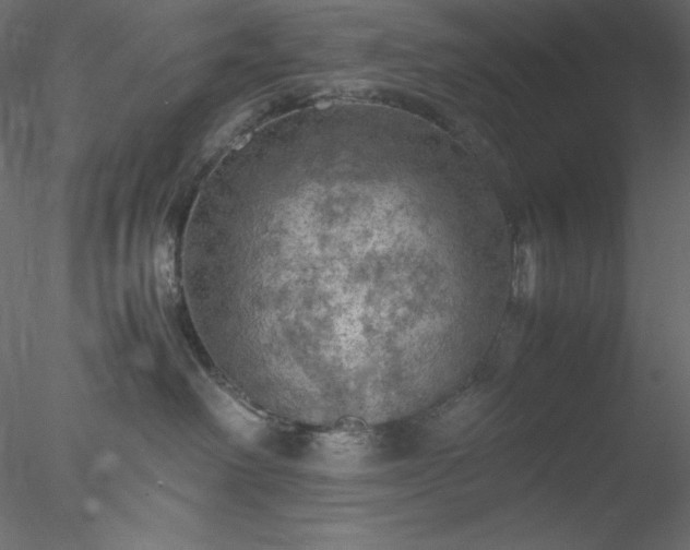 X0000077970238200611031342