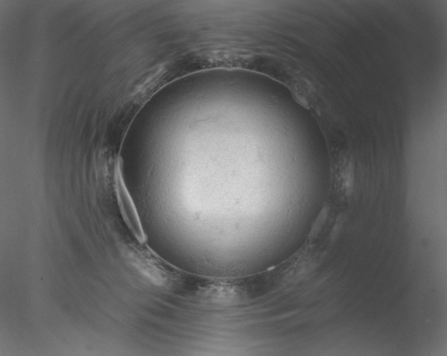 X0000077970276200611031341