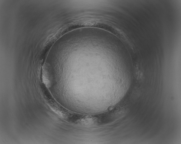 X0000077970307200611031340