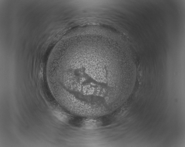 X0000077970315200611031340
