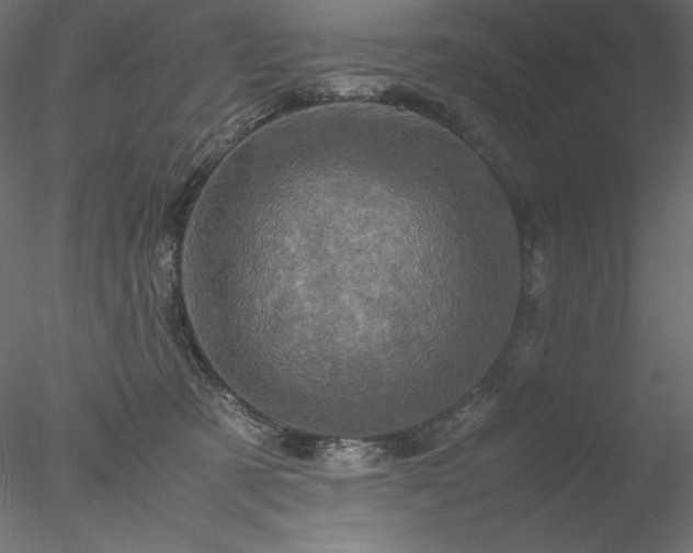 X0000077970321200611031340