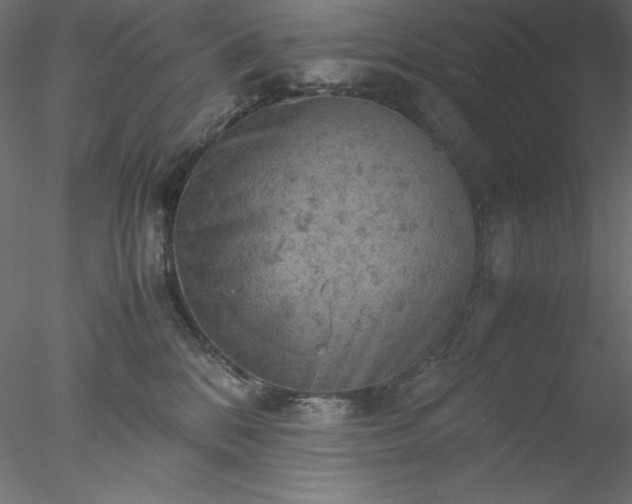 X0000077970328200611031340