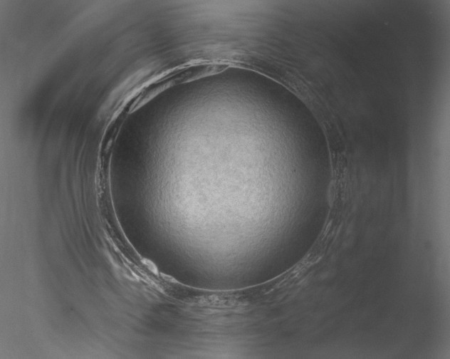 X0000077970338200611031339