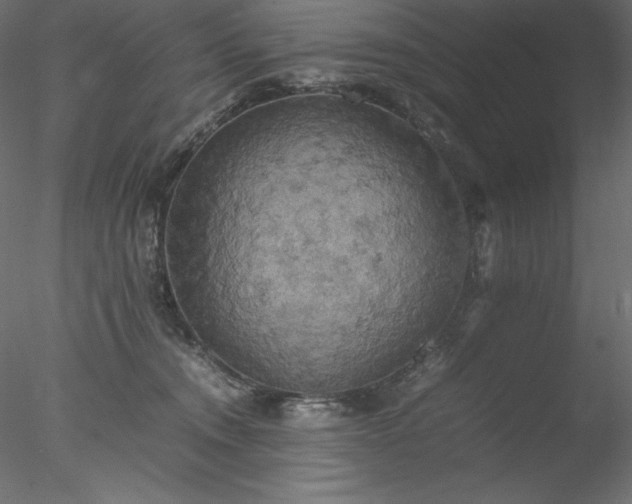 X0000077970372200611031340