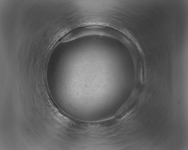 X0000077970385200611031339