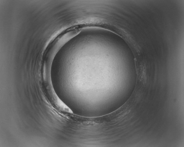 X0000077970392200611031339