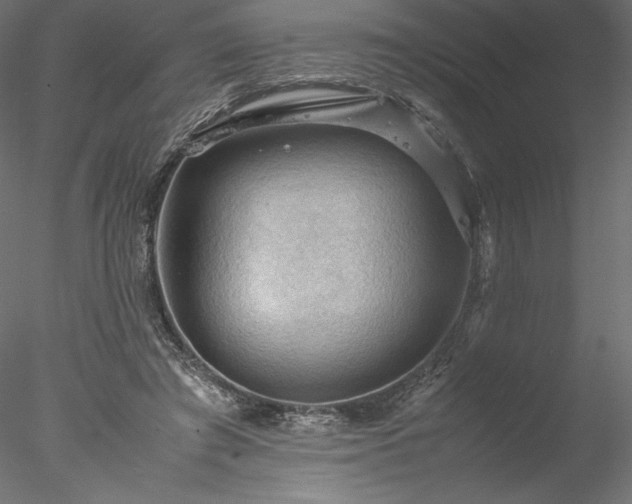 X0000077970401200611031339