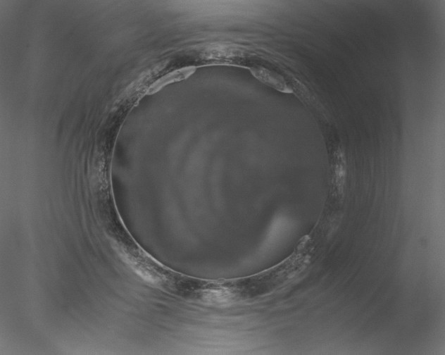 X0000077970411200611031339