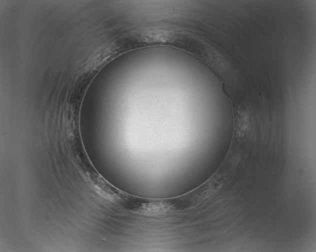 X0000077970414200611031339