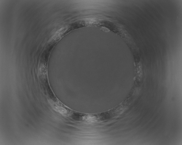 X0000077970419200611031339