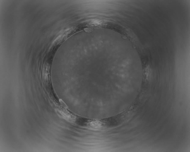 X0000077970423200611031339
