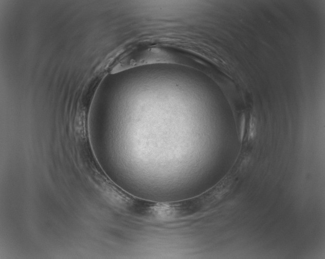 X0000077970425200611031338