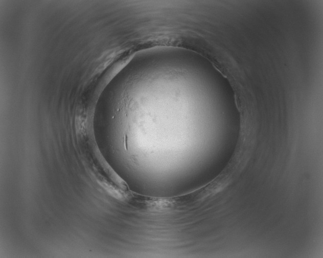 X0000077970432200611031338