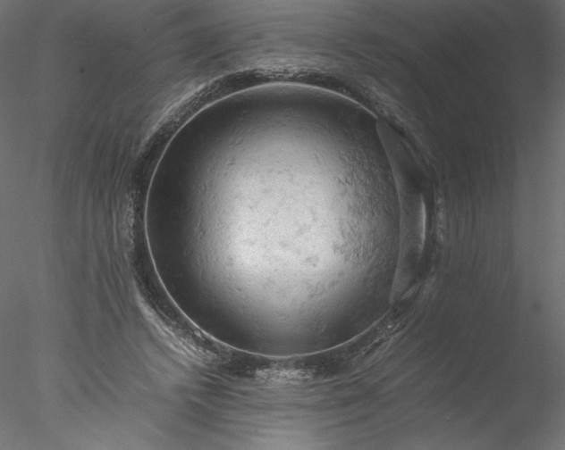 X0000077970448200611031338