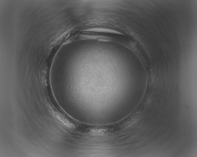 X0000077970450200611031338