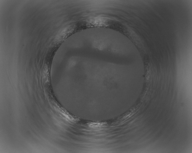 X0000077970465200611031338