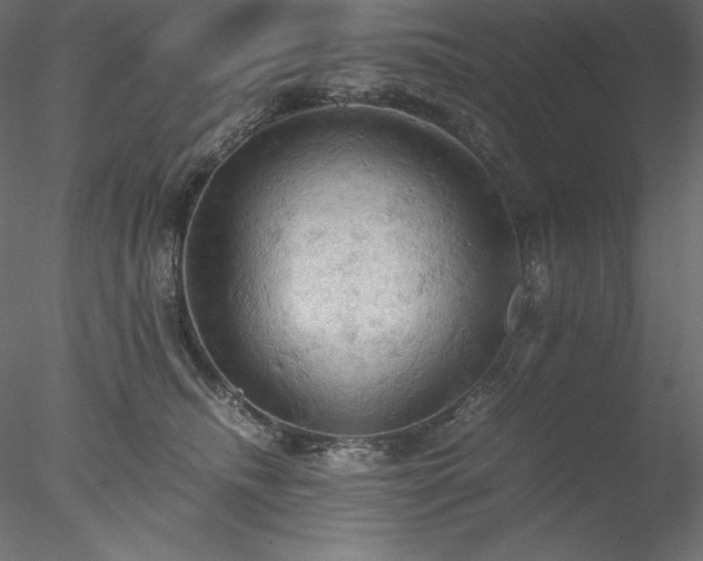 X0000077970468200611031338