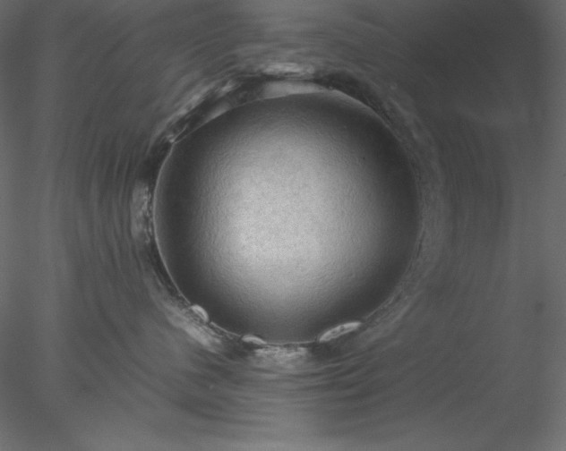 X0000077970480200611031338
