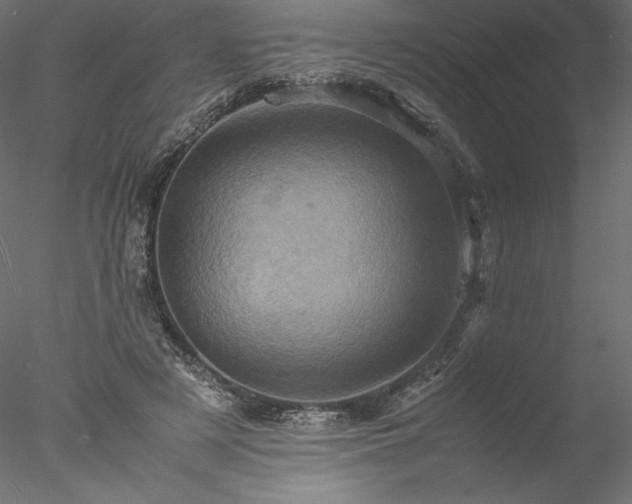 X0000077970497200611031337