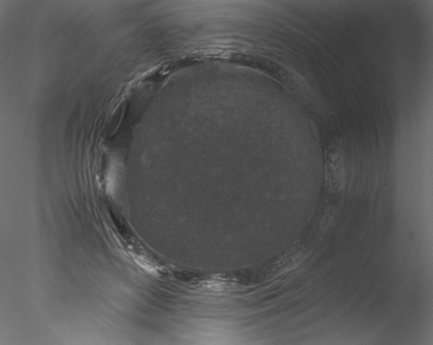 X0000077970504200611031337