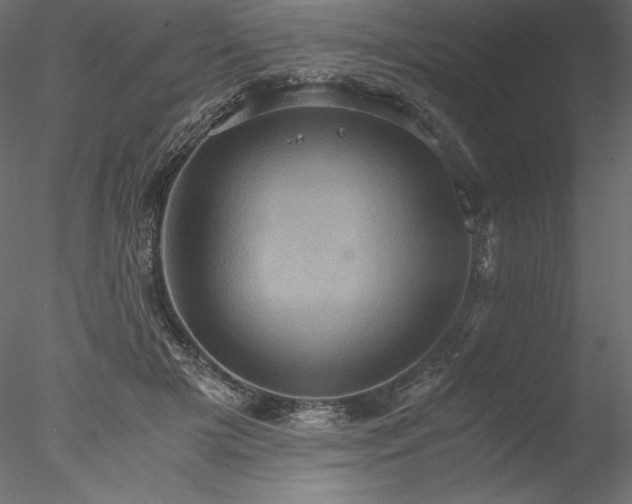 X0000077970505200611031337
