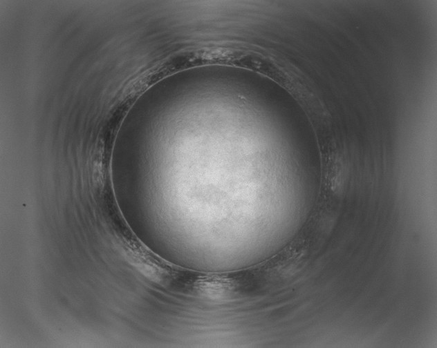 X0000077970510200611031337