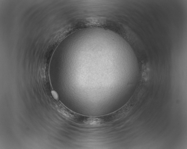X0000077970514200611031337