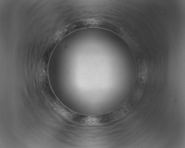 X0000077970518200611031337