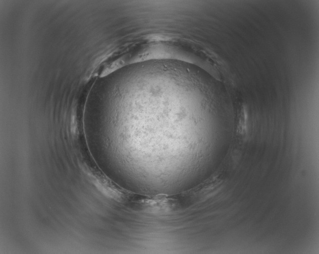X0000077970524200611031337
