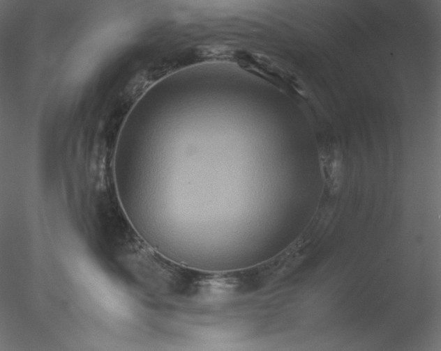 X0000077970525200611031337