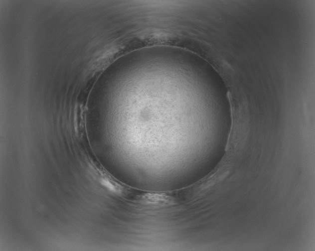 X0000077970528200611031337
