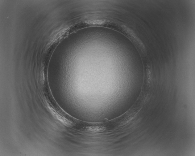 X0000077970541200611031336