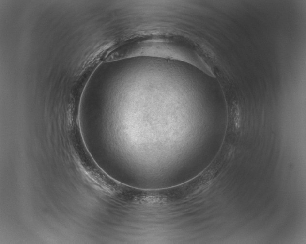 X0000077970546200611031336