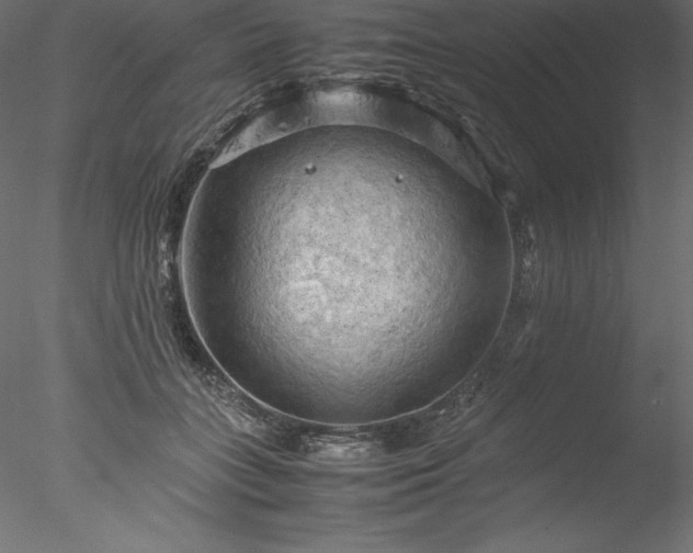 X0000077970555200611031336