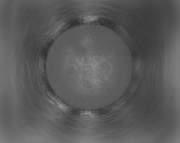 X0000077970565200611031337