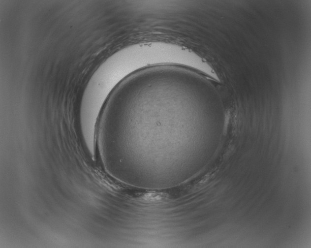 X0000077970566200611031337