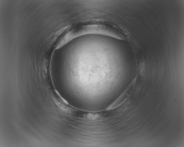 X0000077970570200611031337
