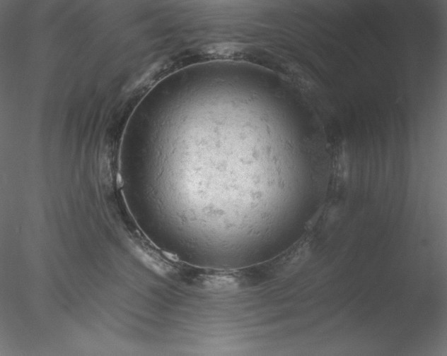X0000077970572200611031337