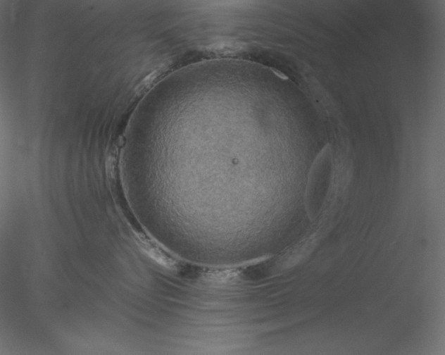 X0000077970576200611031337