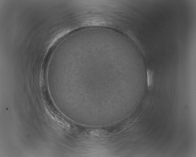 X0000077970579200611031336