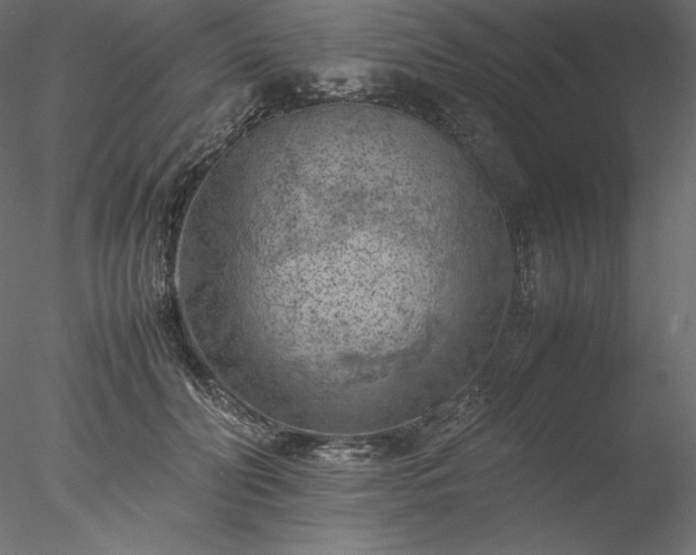 X0000077970606200611031335