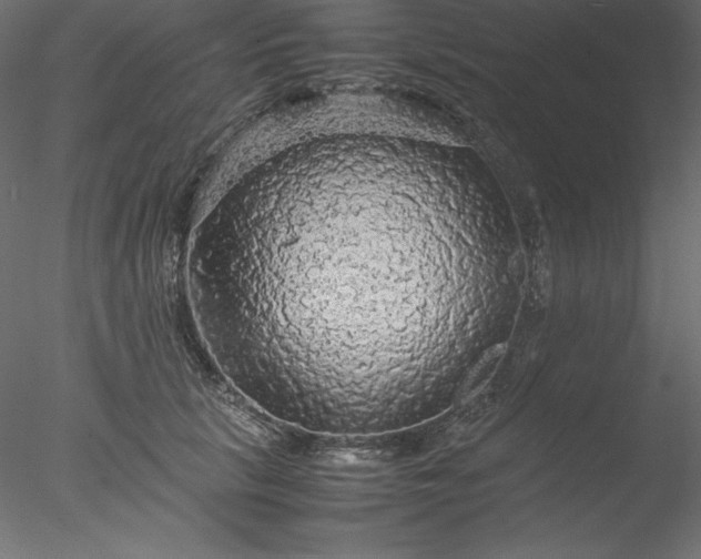 X0000077970657200611031335