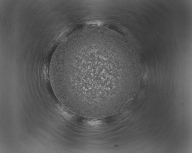 X0000077970669200611031335