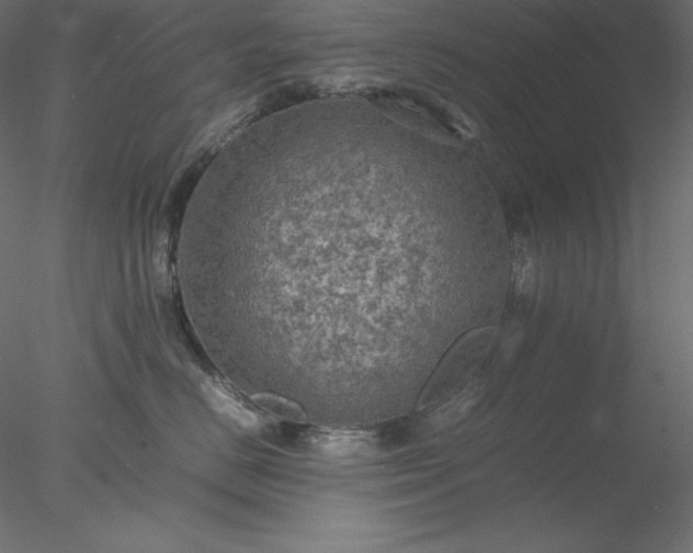 X0000077970670200611031335