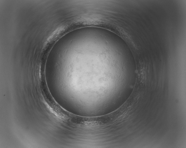 X0000077970686200611031334