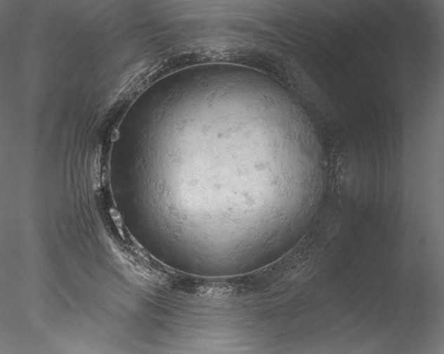 X0000077970694200611031334