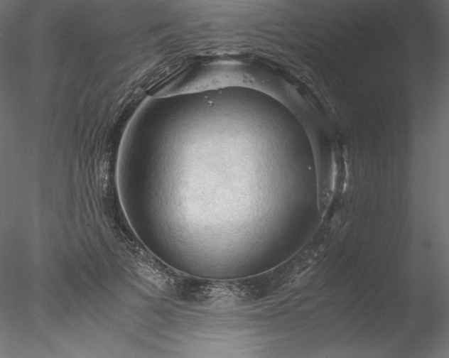 X0000077970697200611031334
